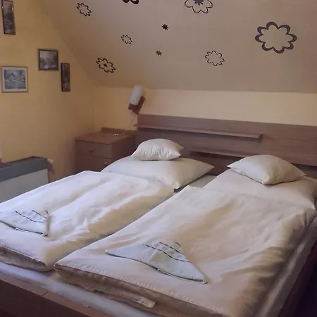 V Raji Guest house *