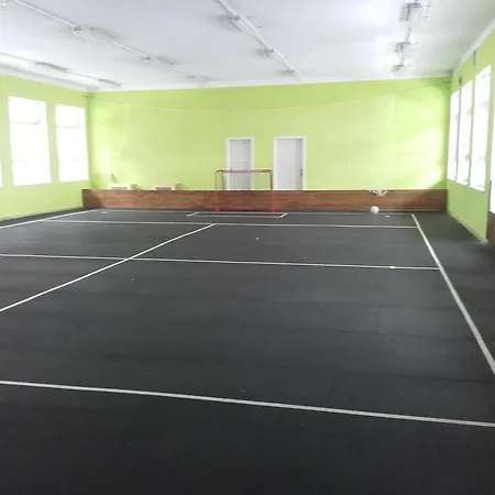 V Raji